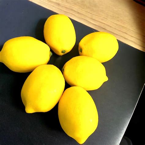 bag of fake lemons|realistic lemons.